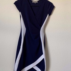Navy Blue Body Con